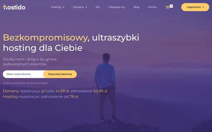 Strona główna Hostido (hostido.pl) – zrzut ekranu